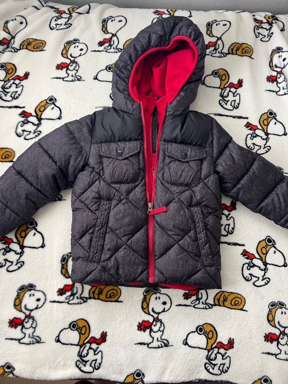 Kids Quilted Hooded Puffer Jacket in Charcoal with Red Lining